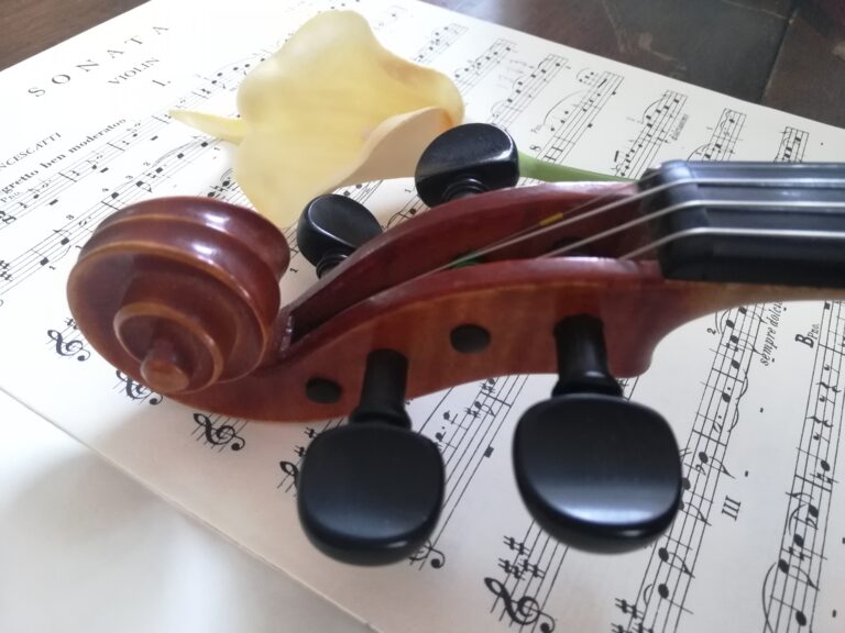 Teaching yourself the violin: Are you a good candidate?