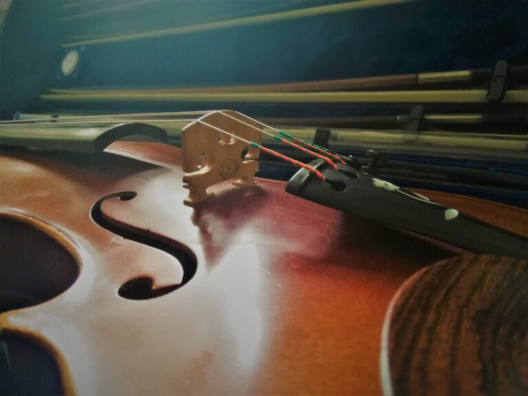 Five things you should NEVER do with your violin
